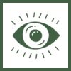 icon Augenheilkunde