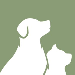 bereich für Hunde Katzen Kleintiere